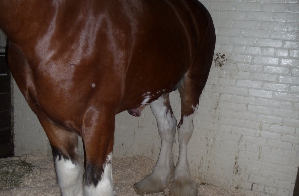 ukhorse:  mmmmmmmmmmmmmm very nice