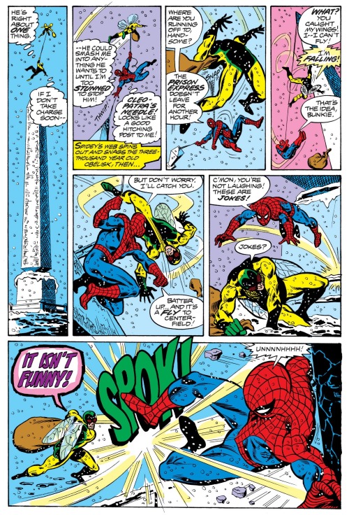 Spider-Man vs. Human Fly.[from The Amazing Spider-Man (1963) #193]