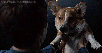 spicywatson:  dghda out of context pt 2 | pt 1 #savedirkgently 
