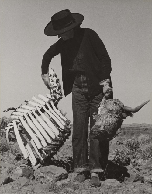 baddreamland:Georgia O'Keeffe photographed by Ansel Adams.