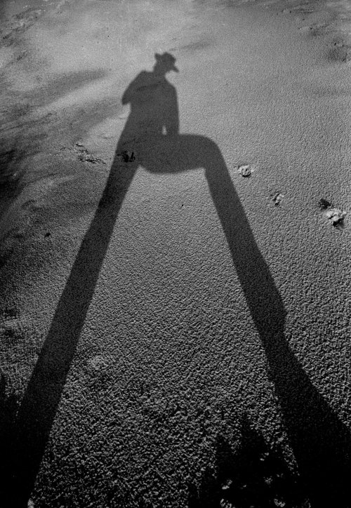 photoarchive:Adger Cowans, Fire Island Shadow, 1960