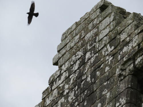 Shap Abbey-Cumbria