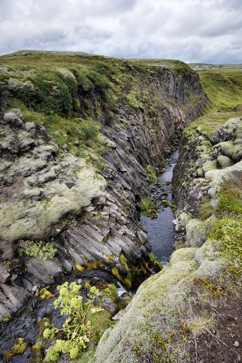 icelandicphoto:A ravine made out of basalt columns in south east Iceland. One of those many hidden g