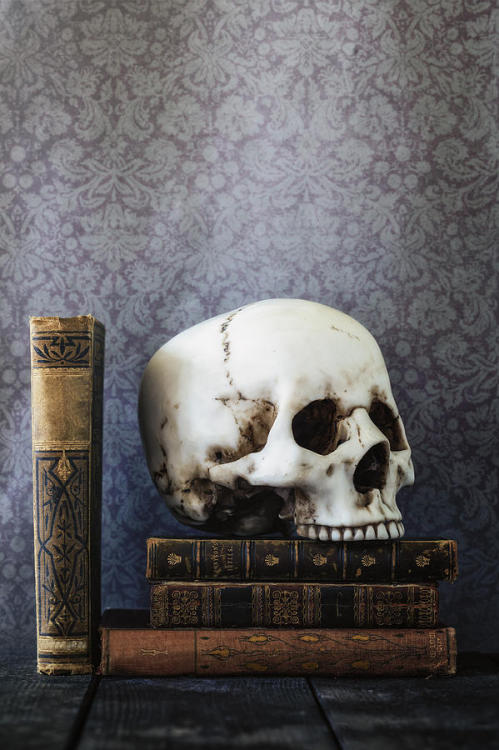 decorated-with-skulls: Creepy Library - Joana Kruse bit.ly/1XS5cCx