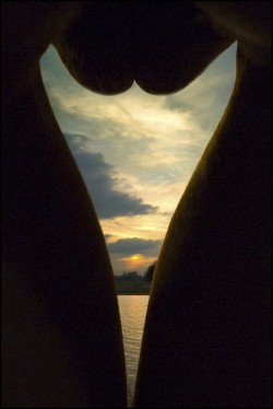 Pussy-Pussy-And-More-Pussy:  Pussy Always Looks Good Even At Sunset 