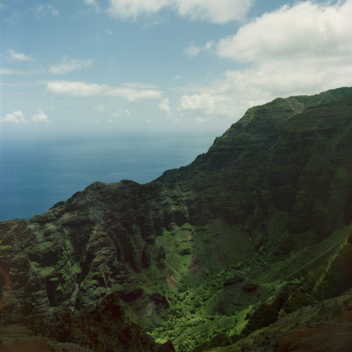 travelingcolors:  Kauai | Hawaii (by Diego adult photos