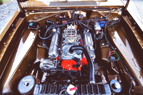 theoldiebutgoodie:  Vision Quest: This Period Perfect 1971 Demon Was Built By A Kid Born 20 Years Late (Photos by Dave Nutting) 
