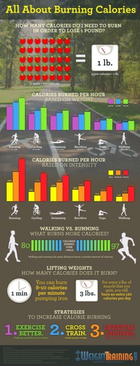 “ All About Burning Calories ”. xx