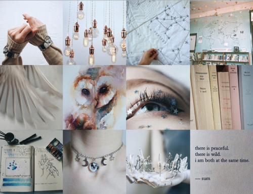 Ravenclaw Leo ISTP aesthetic for @sushi-at-midnight.