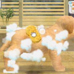 Nintendogs Stimboard 