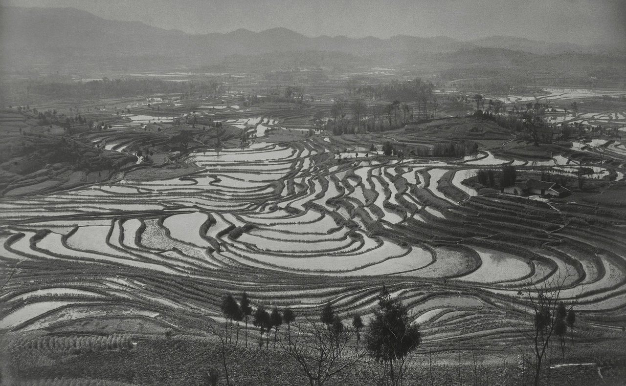 gacougnol:Xue ZijiangBefore Spring Ploughing Sichuan Province 1957