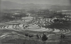 gacougnol:Xue ZijiangBefore Spring Ploughing