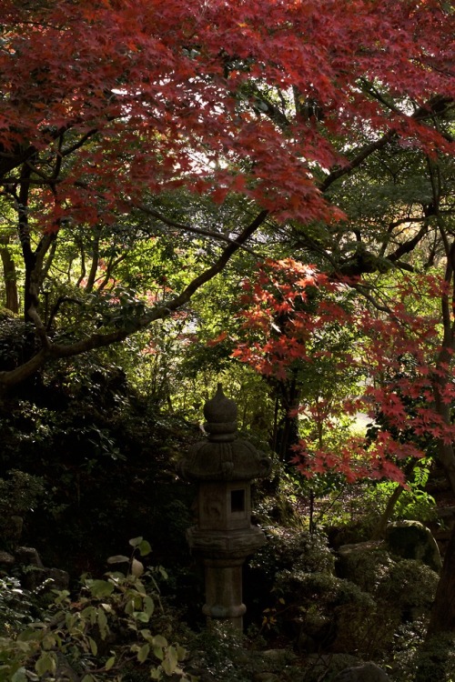 by NikonD7100 in Osaka Japanwww.instagram.com/totophotopot/