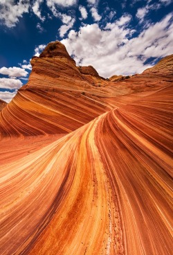eocene:  Swirling Sandstone - The Wave, Coyote Buttes North, Arizona (by Jim Patterson Photography) 