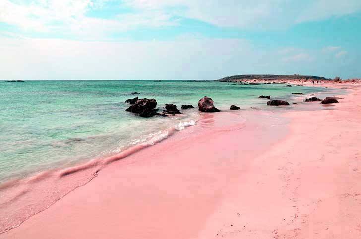 bellazona:    Pink Sandy Beach In The Island Harbour, Bahamas 