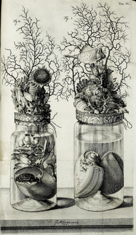 Cornelis Huyberts (1669-1712), “Frederici Ruyschii Anatomes & Botanices” by Frederik