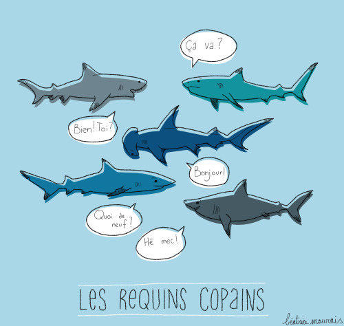 beatricemomo:Day 79. Can be translated as `: The friendly sharks :) Have a nice day