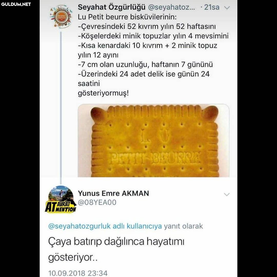 Seyahat Özgürlüğü...