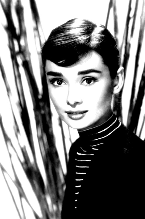 foreverlovingaudrey: Happy Birthday Audrey Kathleen Ruston (May 29, 1929) “I never think 