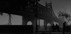 dannyplainview:  Manhattan (1979) dir. Woody