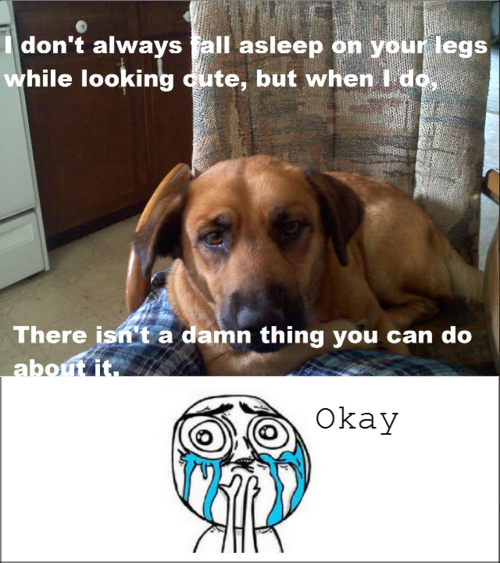 memecollection:  For more funny posts click HERE!
