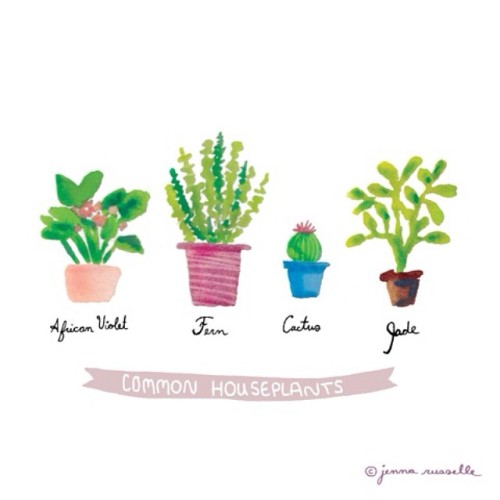 Paint doodle - common houseplants 