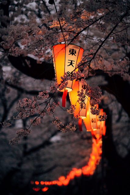 Porn photo heartisbreaking:Ueno by Yotta1000 on Flickr.