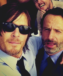 fuckingyeahnormanreedus:  THE REEDUS COLLECTION - loveshisbuddyandyreedus 