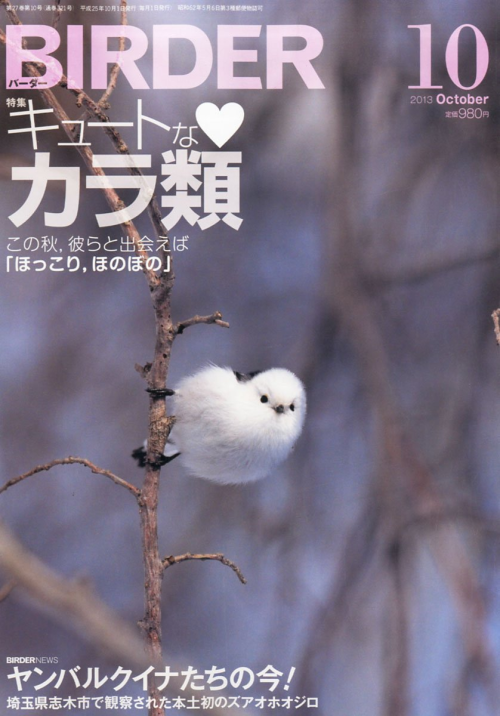 kogumarecord:Amazon: BIRDER (バーダー) 2013年 10月号 キュートなカラ類 [雑誌]: BIRDER編集部