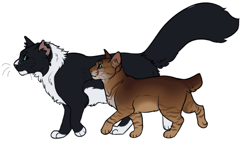 threeclans commissions from the past few days!quillwhisker belongs to @sketchyclaws, leopardpaw belo