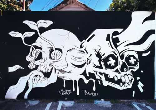 Love this Allison Bamcat x The Obanoth collab in Harvard Heights.
