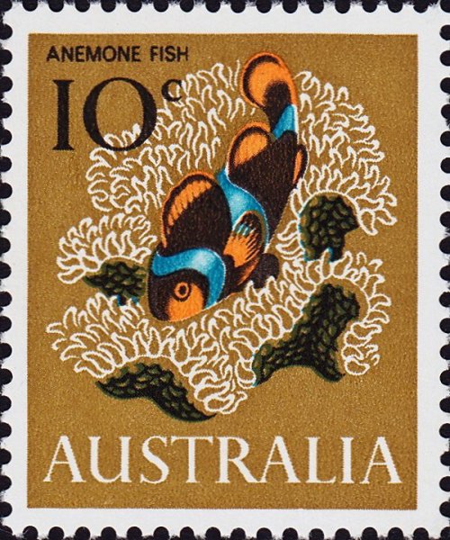 two 1966 Australian stamps from a series on sea life[id: two postage stamps, both with vivid illustr