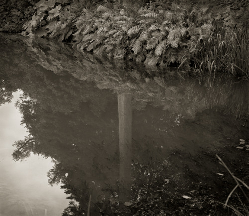 Stable Pond, Powis Castle, Wales Beth Dow