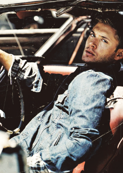 cocopines:  favourite photos of jensen ackles: 13/∞ 