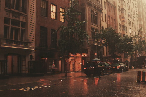 deleosdella - New York in the rain