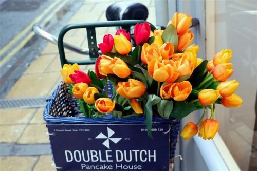 Double Dutch Pancake House Bike.A basket of Tulips.
