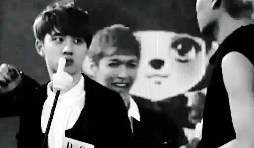 gayjikookadi:  kyungsoo wants to kiss jongin . 