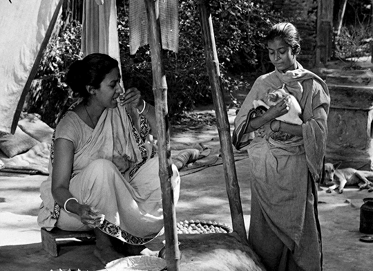 classicfilmblr:পথের পাঁচালী (Pather Panchali) 1955 dir. সত্যজিত