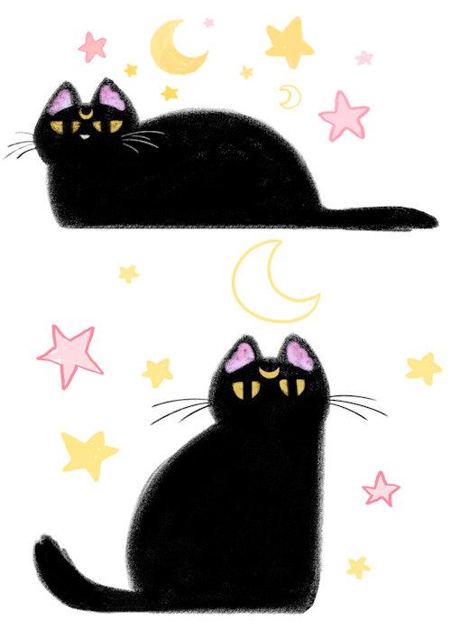 zandrami:Skeptical Space Cat ~