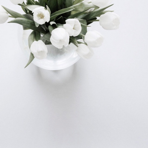 silver-blonde:via saramedinalind