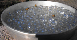 niuniente:   Make A Bee Waterer And Help Hydrate Our Pollinators   Imagine how hard just one bee works in a single day. Bees tend to at least 2,000 flowers daily, with tiny wings beating 10,000 times per minute, carrying pollen, and dramatically assisting