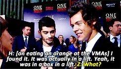 softjimis: &ldquo;I once read Harry’s journal and there’s six pages of knock-knock
