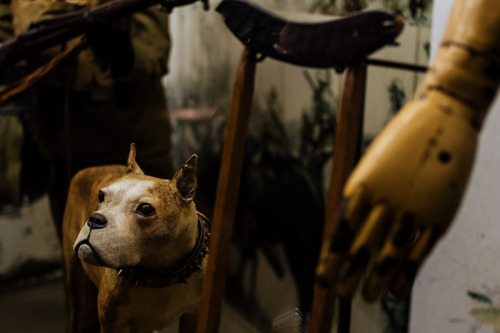 Images From My Visit To The Smithsonian National Museum Of American History.