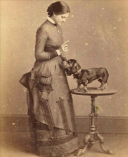 veterinaryrambles:  iheartvmt:  southcarolinamermaid:  A lady and her dachshund, c. 1880s.  Look how long its legs are!   Compare to the modern Dachshund, who is at great risk of spinal disease.  Some modern Dachshunds even run the risk of their bellies