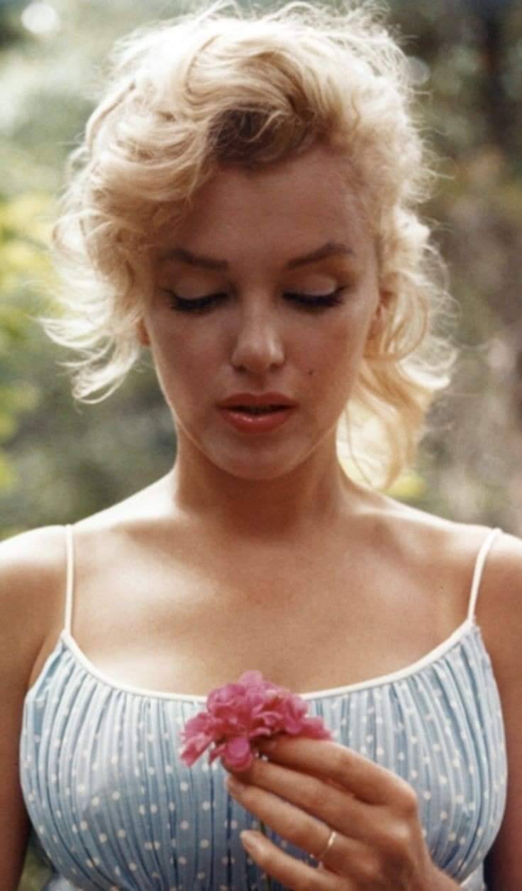 marilyn monroe on Tumblr