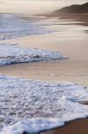 Foam and Mist :: The quieter, more contemplative aspect of seaside life. Dalyellup Beach, Western Australia