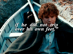 tossme:  &ldquo;You do not understand!&rdquo; said Pippin. &ldquo;You