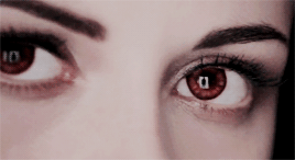 jesperhales:About three things I was absolutely positive: First, Edward was a vampire. Second, there