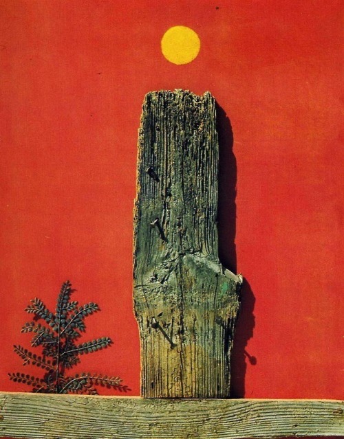 rolandmouret:(Source: Red Forest, 1970. By Max Ernst) 