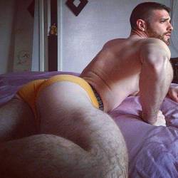 pothos808: jpatriks:    Pothos and new Himeros    